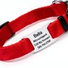 GoTags Dog Collar Stainless Steel Customizable Silent Design-0