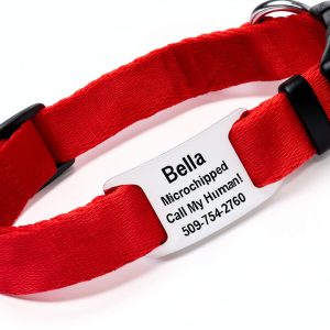 GoTags Dog Collar Stainless Steel Customizable Silent Design-0