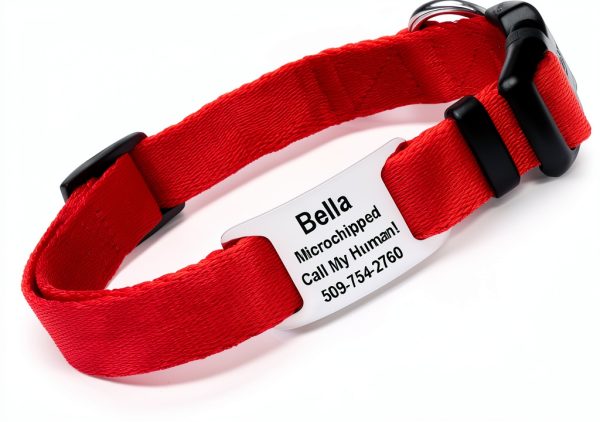 GoTags Dog Collar Stainless Steel Customizable Silent Design-0