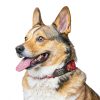 Anavia Silent Pet ID Tags Stainless Steel Silicone Band Dog-5