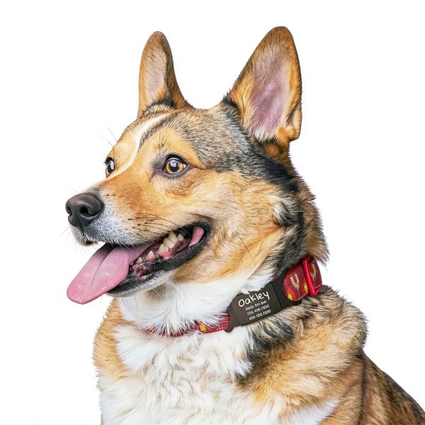 Anavia Silent Pet ID Tags Stainless Steel Silicone Band Dog-5