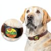 GoTags Pet Tracker Holder Personalized Silicone Dog Collar-5