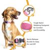 GoTags Reflective Dog Collar Stainless Steel Customizable-2