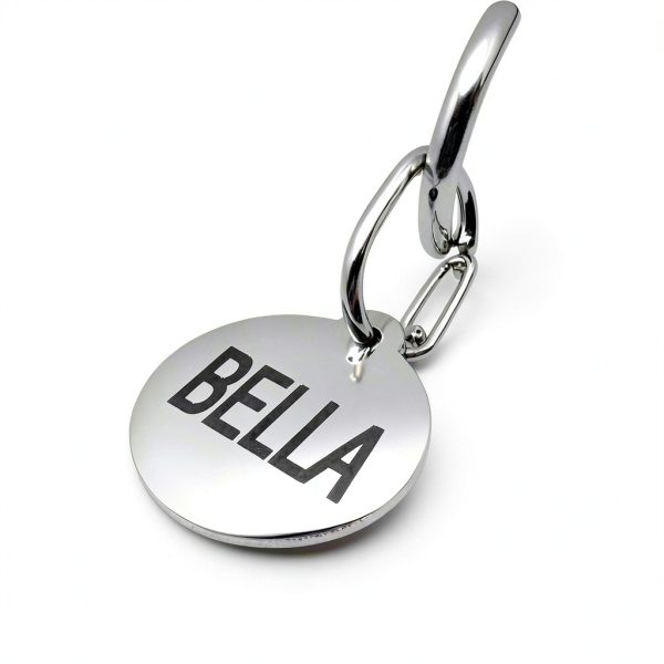 GoTags Pet ID Tag Clips Stainless Steel Quick Clip Silencer-3