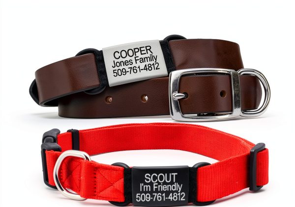 GoTags Pet ID Tags Stainless Steel Slide On Customizable-4