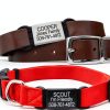 GoTags Slide On Pet ID Tags Stainless Steel Silent Design-4