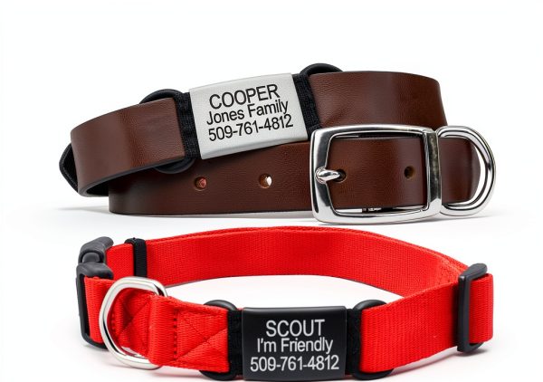 GoTags Slide On Pet ID Tags Stainless Steel Silent Design-4