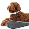 GoTags Silicone Pet ID Tags Silent Durable Customizable-1