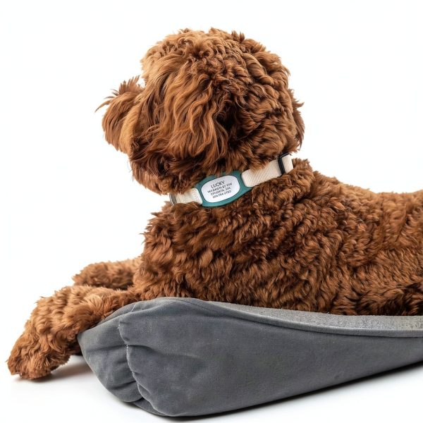 GoTags Silicone Pet ID Tags Silent Durable Customizable-1