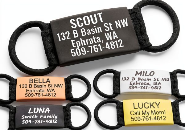 GoTags Pet ID Tags Stainless Steel Slide On Customizable-0