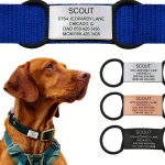 ROAD iD Silent Pet ID Tag Stainless Steel Customizable-0