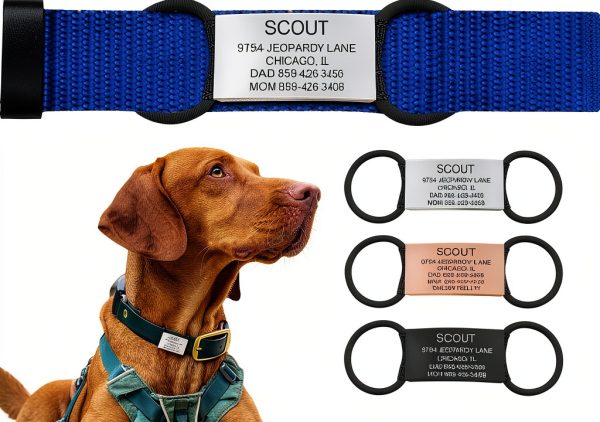 ROAD iD Silent Pet ID Tag Stainless Steel Customizable-0