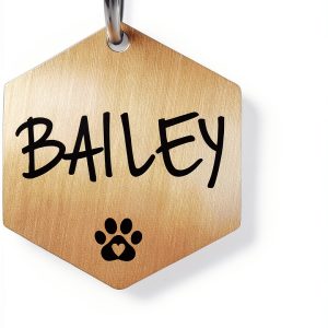 Ultra Joys Pet ID Tags Stainless Steel Personalized-0
