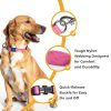 GoTags Dog Collar Stainless Steel Customizable Silent Design-2