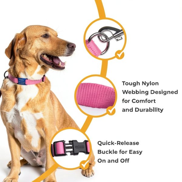 GoTags Dog Collar Stainless Steel Customizable Silent Design-2