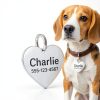 Dr Fremonts Stainless Steel Pet ID Tags Custom Engraved-4