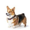 GoTags Slide On Pet ID Tags Stainless Steel Silent Design-3