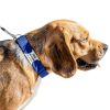 GoTags Dog Collar Stainless Steel Customizable Silent ID Tag-3