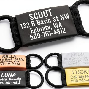 GoTags Slide On Pet ID Tags Stainless Steel Silent Design-0
