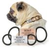 ROAD iD Silent Pet ID Tag Stainless Steel Customizable-2