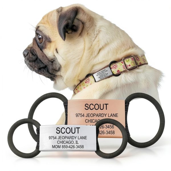 ROAD iD Silent Pet ID Tag Stainless Steel Customizable-2