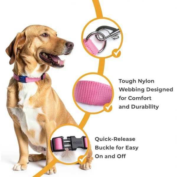 GoTags Reflective Dog Collar Stainless Steel Customizable-2