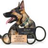 ROAD iD Silent Pet ID Tag Stainless Steel Customizable-3