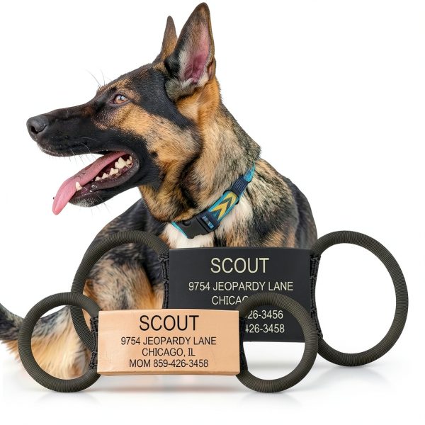 ROAD iD Silent Pet ID Tag Stainless Steel Customizable-3