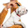 Mc-Supply Dog ID Tag Silent Stainless Steel Personalized-8