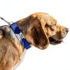 GoTags Dog Collar Stainless Steel Customizable Silent Design-3