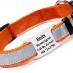GoTags Reflective Dog Collar Stainless Steel Customizable-0