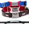 AM Nails Personalized Pet ID Tags Stainless Steel Silicone-1