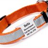 GoTags Reflective Dog Collar Stainless Steel Customizable-0
