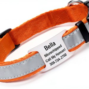 GoTags Reflective Dog Collar Stainless Steel Customizable-0