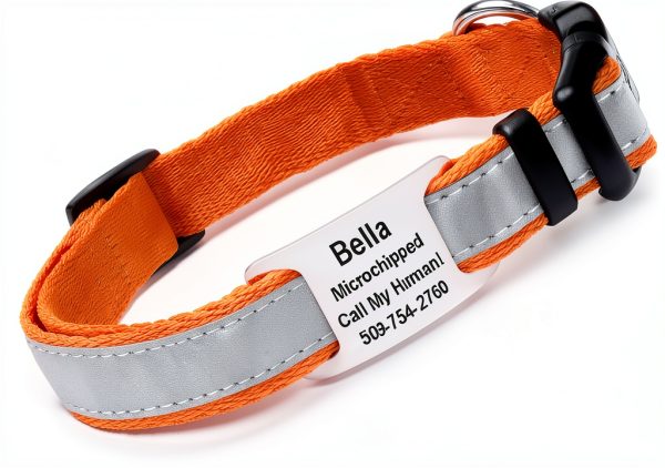GoTags Reflective Dog Collar Stainless Steel Customizable-0