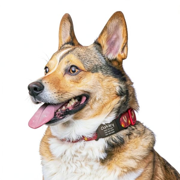 Anavia Silent Pet ID Tags Stainless Steel Personalized Dog-5