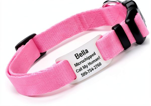 GoTags Dog Collar Stainless Steel Customizable Silent ID Tag-0