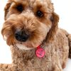 Brayhoo Silicone Pet ID Tags Durable Engraved for Dogs Cats-5