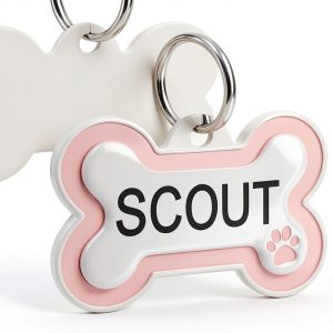 Stainless Steel Dog ID Tag Laser Engraved GoTags Pet-0