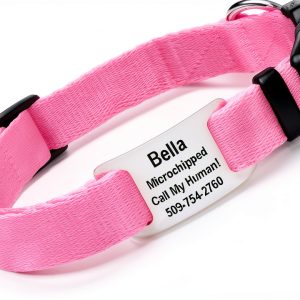 GoTags Dog Collar Stainless Steel Customizable Silent ID Tag-0