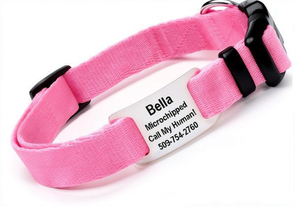 GoTags Dog Collar Stainless Steel Customizable Silent ID Tag-0
