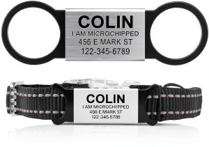 AM Nails Personalized Pet ID Tags Stainless Steel Silicone-0
