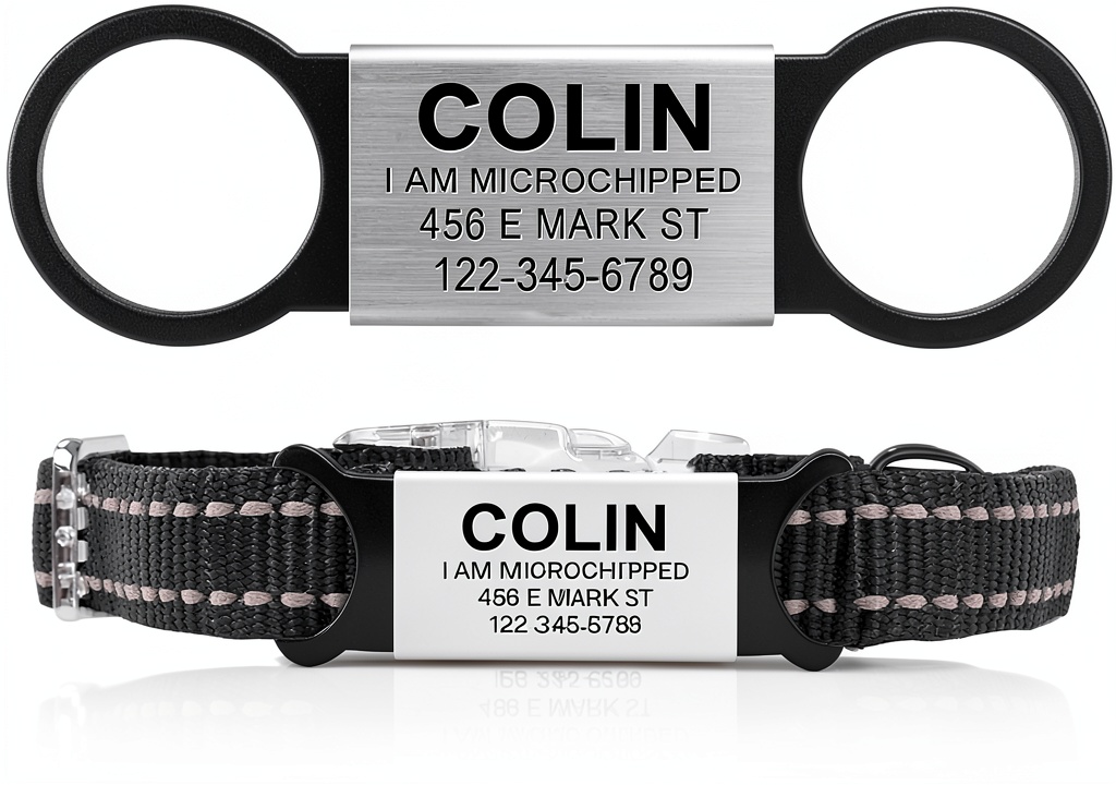 AM Nails personalized pet ID tag attached to a dog collar