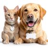 Dr Fremonts Stainless Steel Pet ID Tags Custom Engraved-3