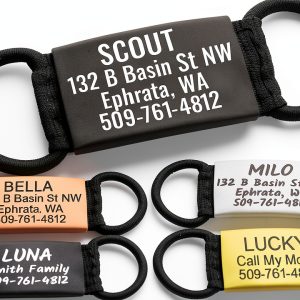 GoTags Slide On Pet ID Tags Stainless Steel Silent Design-0