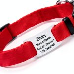 GoTags Dog Collar Stainless Steel Customizable Pet Safety-0