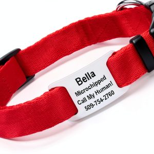 GoTags Dog Collar Stainless Steel Customizable Pet Safety-0