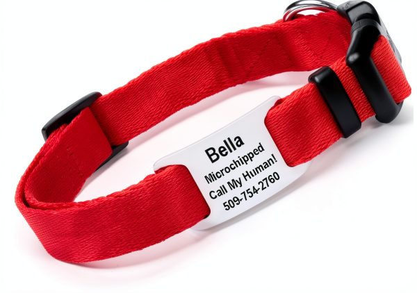 GoTags Dog Collar Stainless Steel Customizable Pet Safety-0